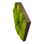 Mosschilderij Hexagon met Bolmos