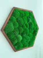 Mosschilderij Hexagon met Bolmos