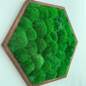 Mosschilderij Hexagon met Bolmos