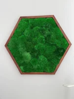 Mosschilderij Hexagon met Bolmos