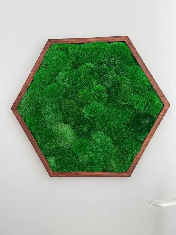 Mosschilderij Hexagon met Bolmos