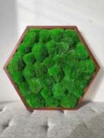 Mosschilderij Hexagon met Bolmos