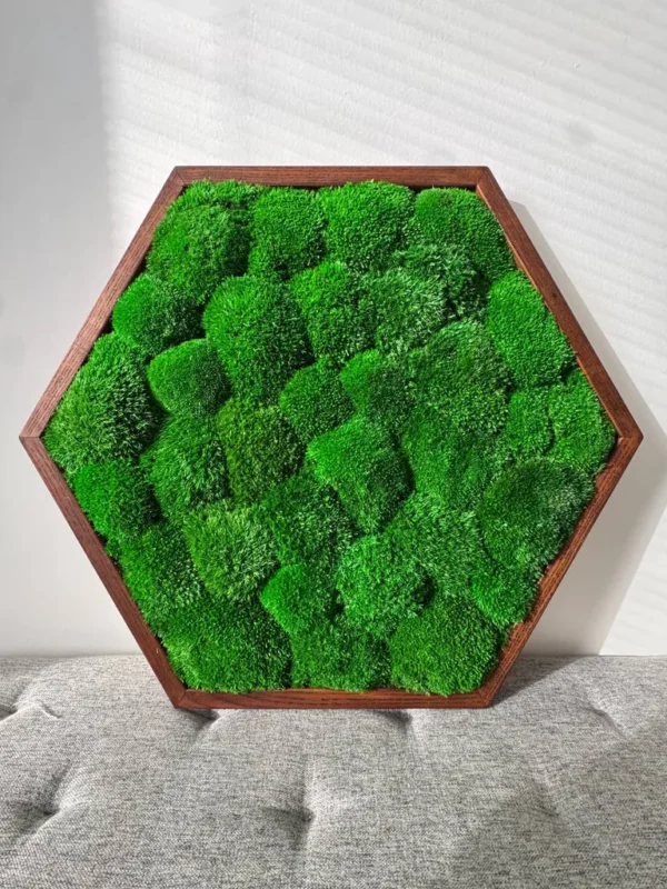 Mosschilderij Hexagon met Bolmos