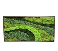 Mosschilderij palet van de natuur met mix mos
