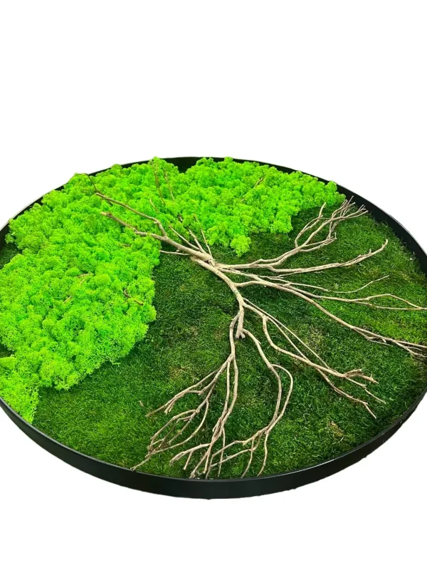 Ronde mosschilderij - mosboom | boom gemaakt van mos