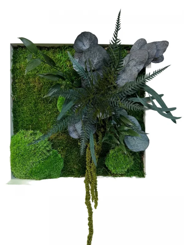 Mosschilderij met bolmos platmos en planten