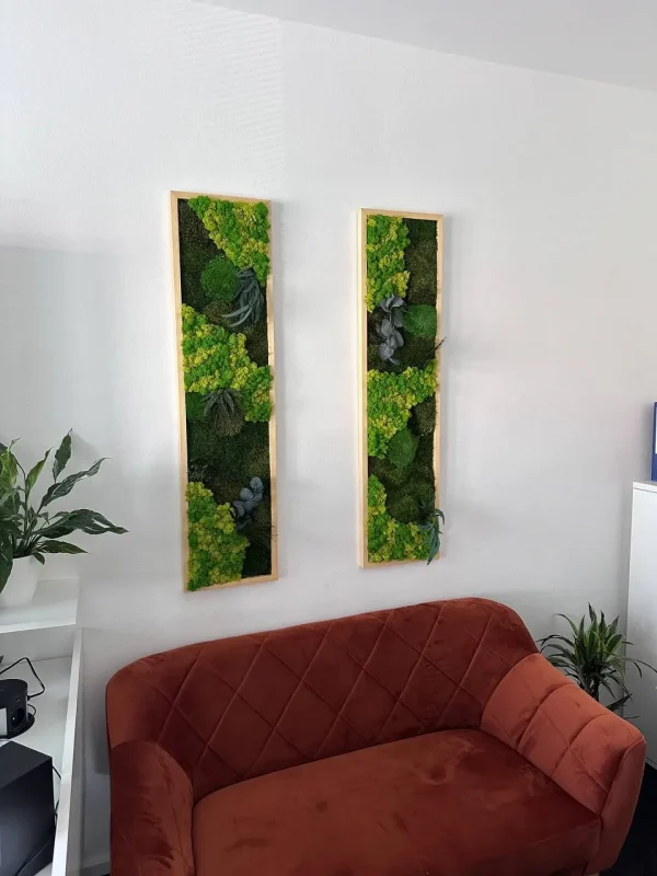 Set mosschilderij met planten remix