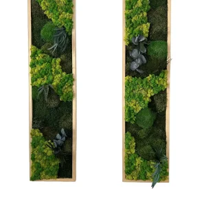 Set Mosschilderij met Planten Remix