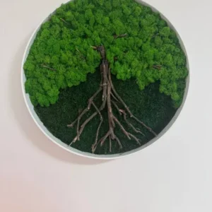 Ronde Mosschilderij - Mosboom | Boom gemaakt van Mos
