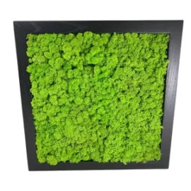 Mosschilderij met Rendiermos