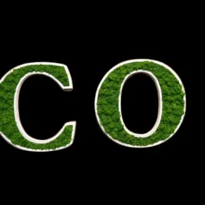 Houten Letters met Mos