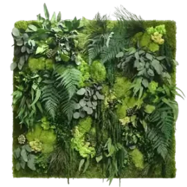 Jungle