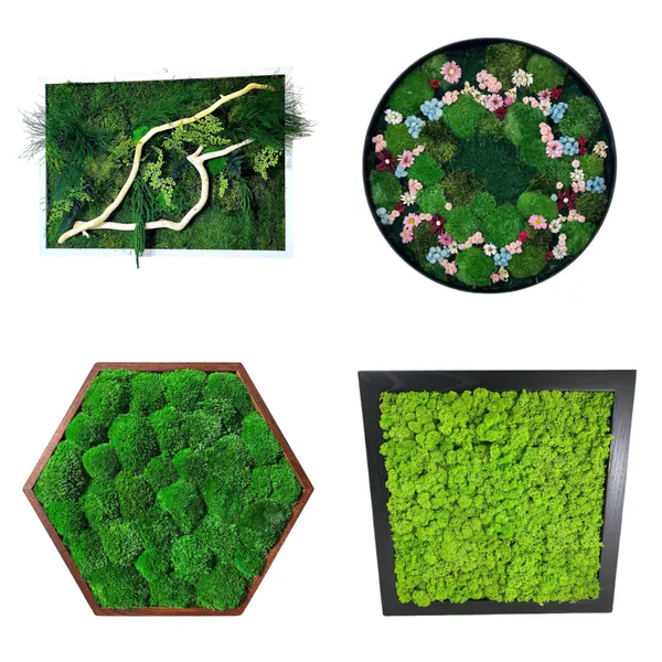 Moss art COLLAGE_result Mosschilderij op maat