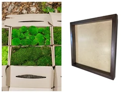 Category products - DIY Mosschilderij Benodigdheden