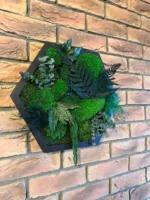 Hexagon Mosbeeld Levend – Uniek Plantenarrangement
