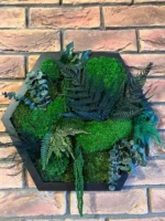 Hexagon mosschilderij levend – Uniek plantenarrangement