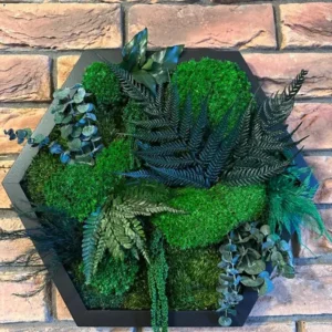 Hexagon mosschilderij levend – Uniek plantenarrangement