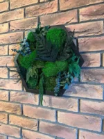 Hexagon Mosbeeld Levend – Uniek Plantenarrangement