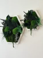 Hexagon Mosbeeld Levend – Uniek Plantenarrangement