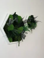 Hexagon Mosbeeld Levend – Uniek Plantenarrangement