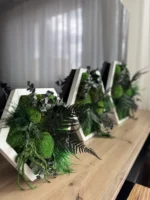 Hexagon Mosbeeld Levend – Uniek Plantenarrangement