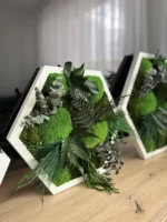 Hexagon Mosbeeld Levend – Uniek Plantenarrangement