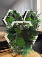 Hexagon Moosbild lebend - Einzigartiges Pflanzenarrangement