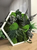 Hexagon Mosbeeld Levend – Uniek Plantenarrangement
