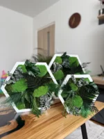 Hexagon Mosbeeld Levend – Uniek Plantenarrangement
