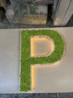 Houten letters met LED en echt mos