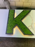 Houten letters met LED en echt mos