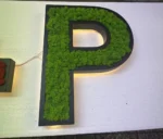 Houten letters met LED en echt mos