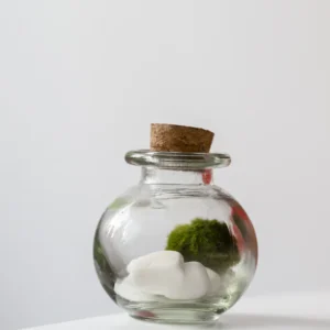 Mosbal Aquarium – Marimo-bal