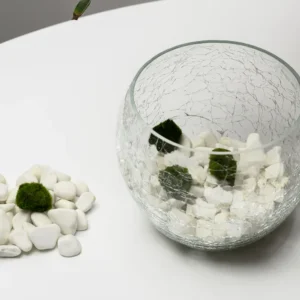 Mosbal Aquarium – Marimo-bal