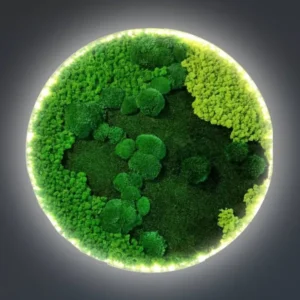 Ronde Mosdecoratie – Verlicht met Gemixte Mossoorten