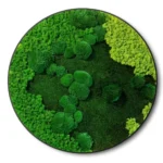 Ronde Mosdecoratie – Verlicht met Gemixte Mossoorten