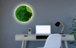 Ronde Mosdecoratie – Verlicht met Gemixte Mossoorten