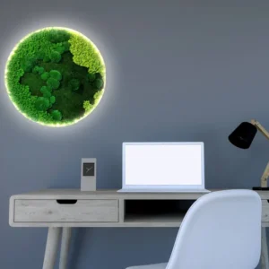 Ronde Mosdecoratie – Verlicht met Gemixte Mossoorten