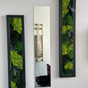 Set van schilderijen met mos en spiegel