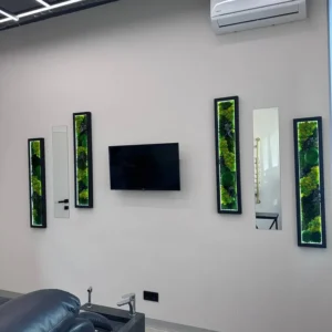 Set van schilderijen met mos en spiegel