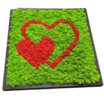 Wanddecoratie Hart van Mos – 2 Harten van Ijslandsmos