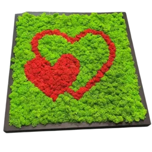Wanddecoratie Hart van Mos – 2 Harten van Ijslandsmos