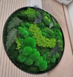 Echt Mosdecoratie: Rond met Mos & Varens