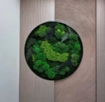 Echt Mosdecoratie: Rond met Mos & Varens