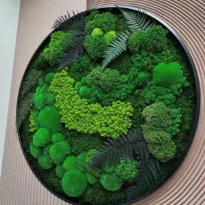 Echt Mosdecoratie: Rond met Mos & Varens