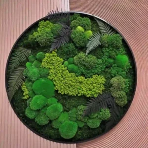 Echt Mosdecoratie: Rond met Mos & Varens