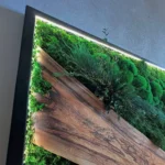 Mos schilderij met houtelementen en planten – modern LED wandpaneel