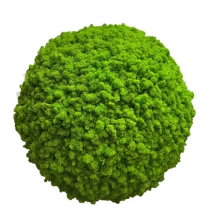 Mosbal met rendiermos