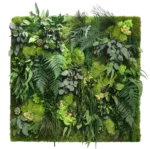 Plantenwandpanelen - Mospaneel met planten