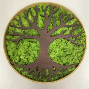 Ronde decoratieve boom met mos en houten frame